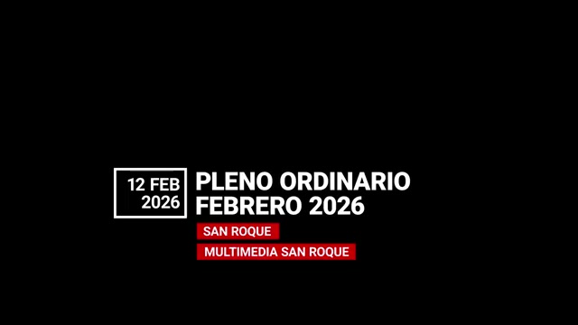 poster Pleno ordinario 12/02/2026