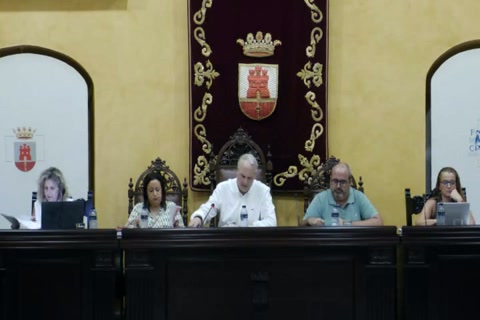 Pleno ordinario 02/07/2026