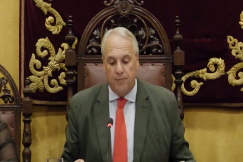Pleno ordinario 01/10/2026